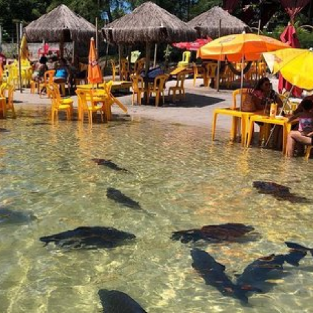 Lagoa Dos Tambaquis Aracaju Turismo