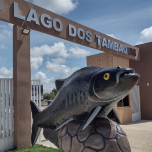 tambaquis (2)